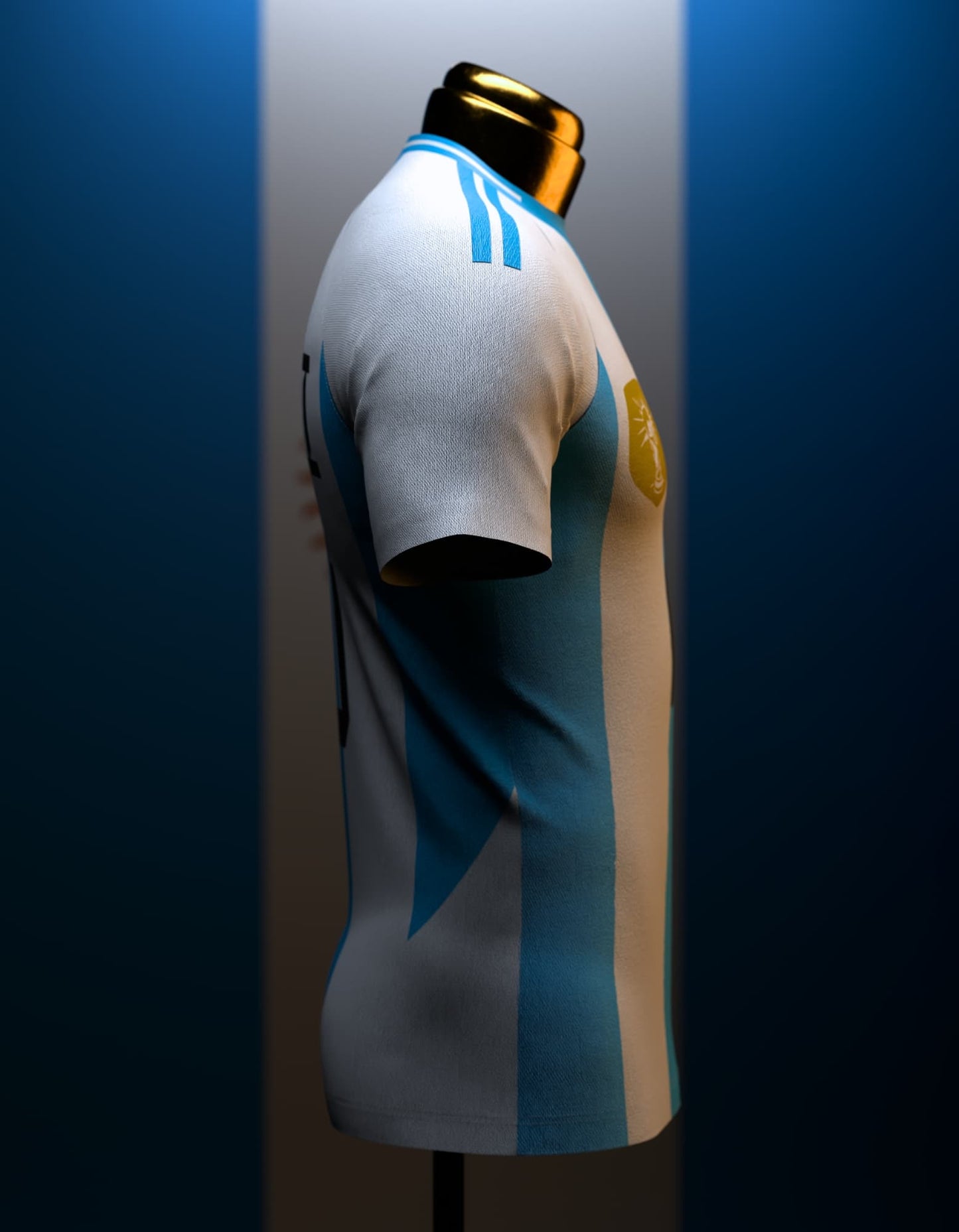 Lionel Messi Fan Jersey | Argentina Jersey 23/24 #10